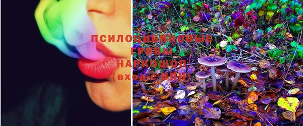 mix Алексин