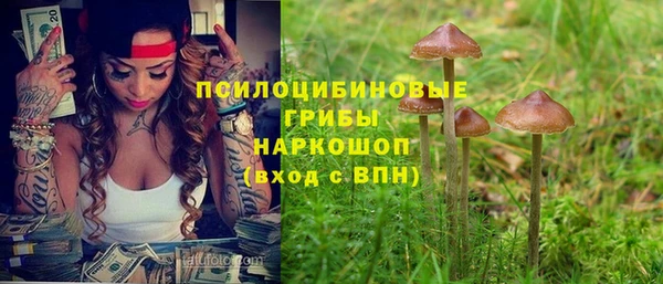 гидропоника Алексеевка