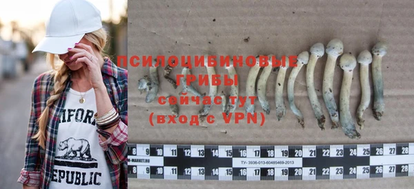 гидропоника Алексеевка