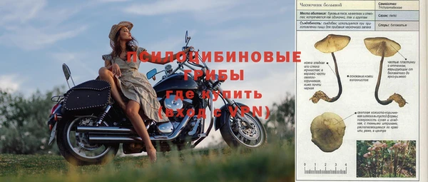 бутират Алзамай