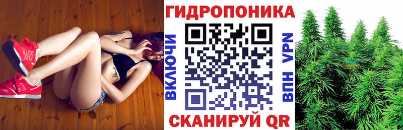 Каннабис THC 21%  где можно купить наркотик  Зарайск 
